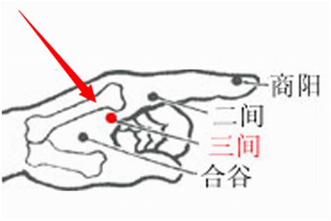 三間穴位置|三間(三間穴):名稱釋義,腧穴定位,簡便定位,解剖定位,功。